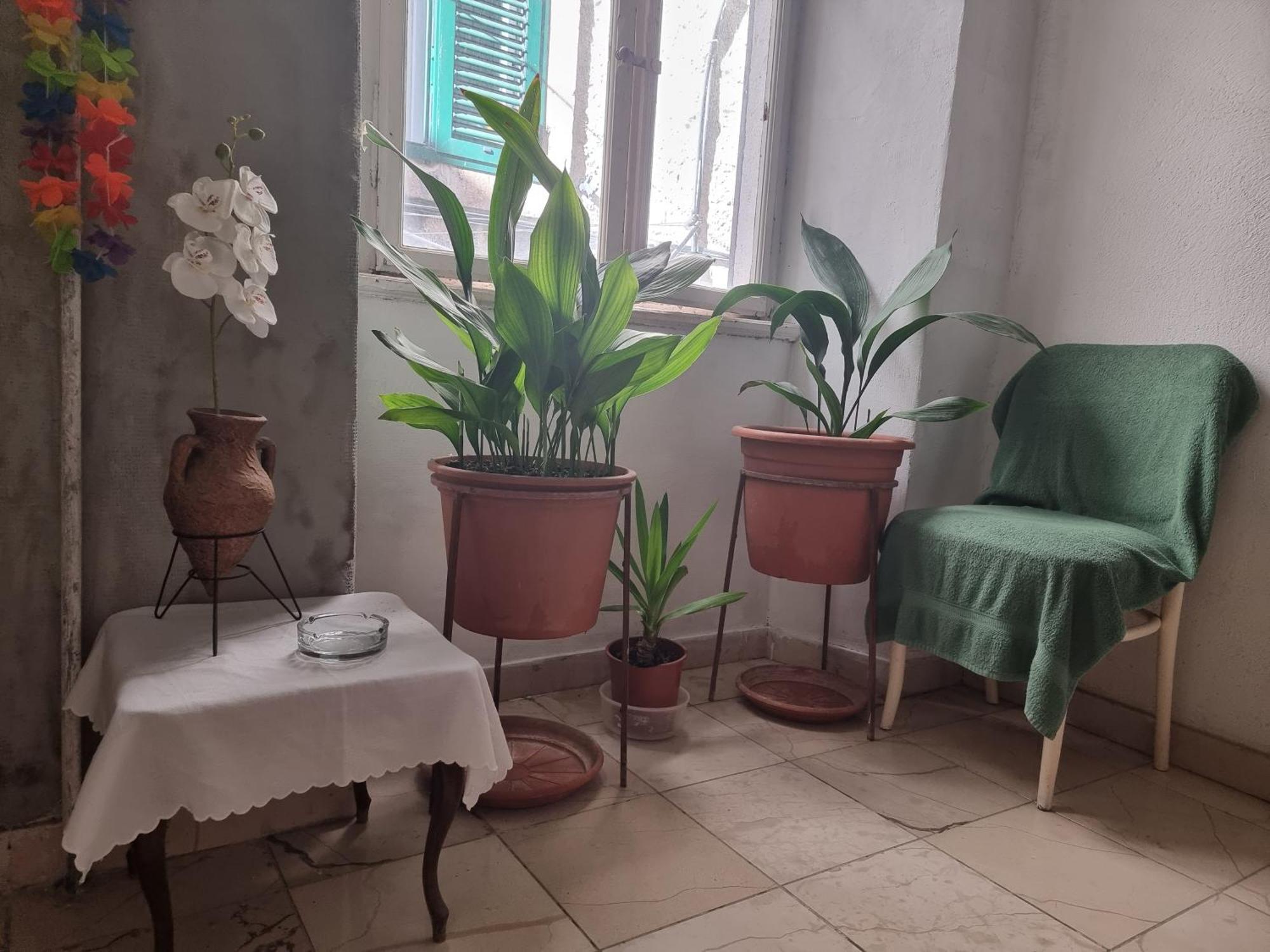 Center Room D16 In The Ancient Roman Palace สปลิท ภายนอก รูปภาพ